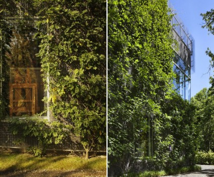 Art Barn Robert Young Architecture