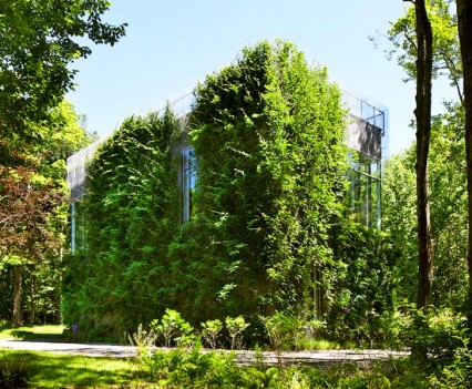 Art Barn Robert Young Architecture