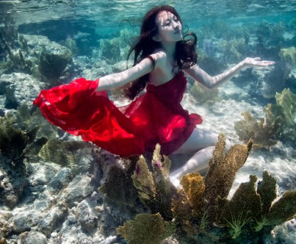 Underwater Photography Elena Kalis