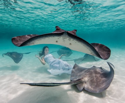 Underwater Photography Elena Kalis